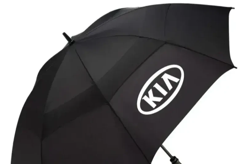 Corporate Umbrella Branding